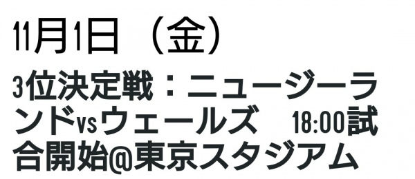 ラグビーW杯 準決勝