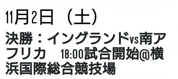 ラグビーW杯 決勝